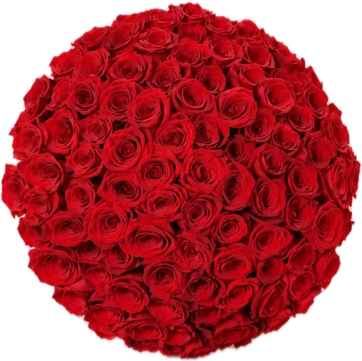 Round dome bouquet of red roses, luxury roses Orlando FL