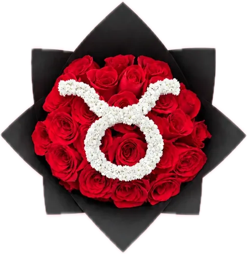 Red roses with baby's breath Taurus zodiac sign, zodiac bouquet Orlando